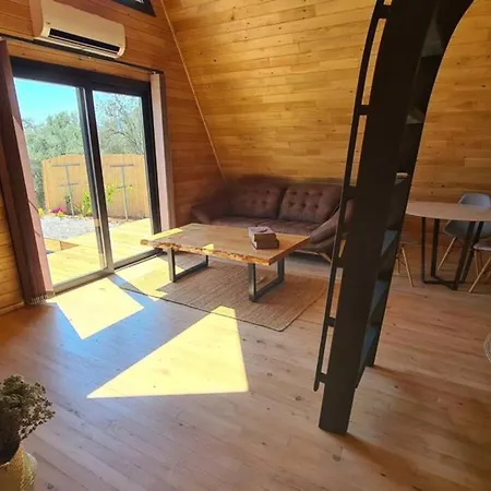 Holiday home Ugni Blanc Uzum Baglari Ve Zeytinlikler Icinde Mini Bir Cennet Ve Tiny House Konseptli Havuzlu Ucgen Ev - крошечный дом - скрытый рай
