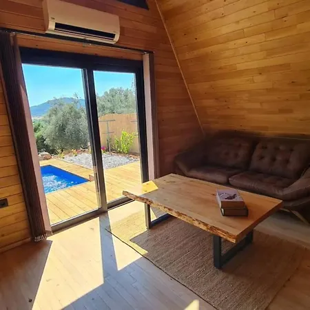 Ugni Blanc Uzum Baglari Ve Zeytinlikler Icinde Mini Bir Cennet Ve Tiny House Konseptli Havuzlu Ucgen Ev - крошечный дом - скрытый рай Holiday home