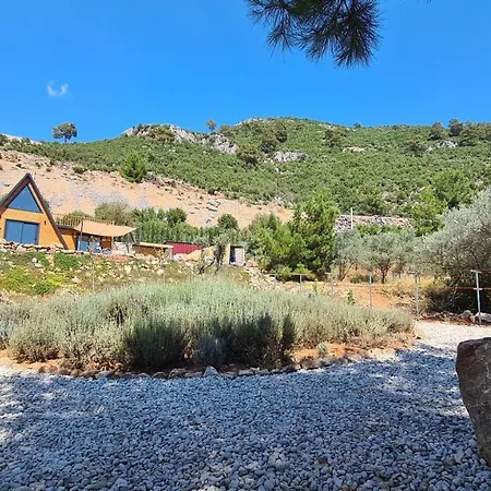 Ugni Blanc Uzum Baglari Ve Zeytinlikler Icinde Mini Bir Cennet Ve Tiny House Konseptli Havuzlu Ucgen Ev - крошечный дом - скрытый рай Fethiye